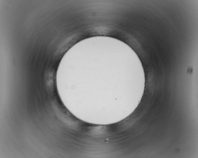 X0000112730122200910011206
