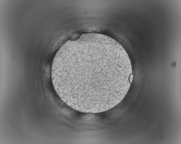 X0000112730123200910011206