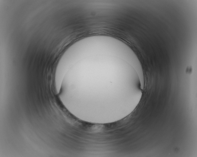 X0000112730124200910011206