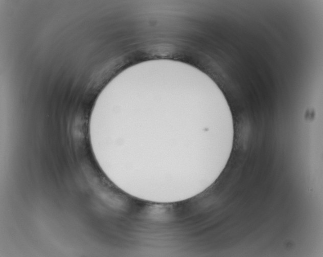 X0000112730126200910011206