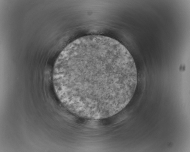 X0000112730127200910011206