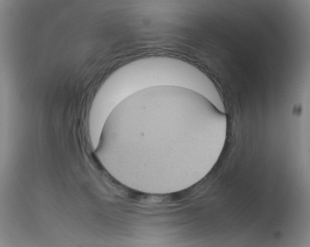 X0000112730129200910011206