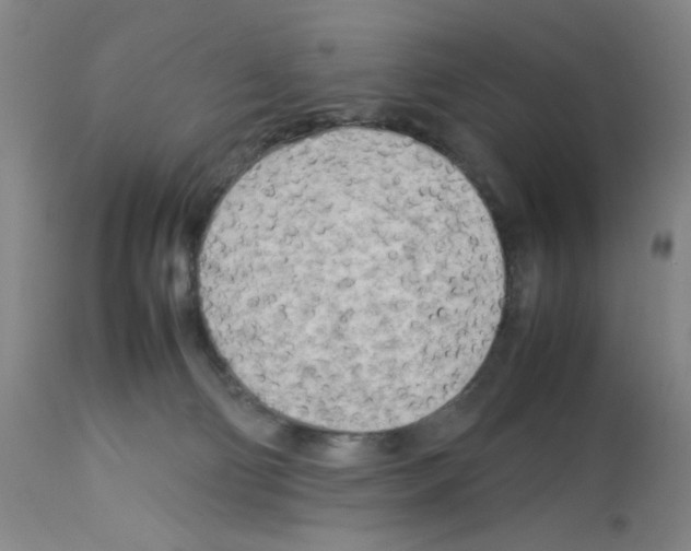 X0000112730130200910011206
