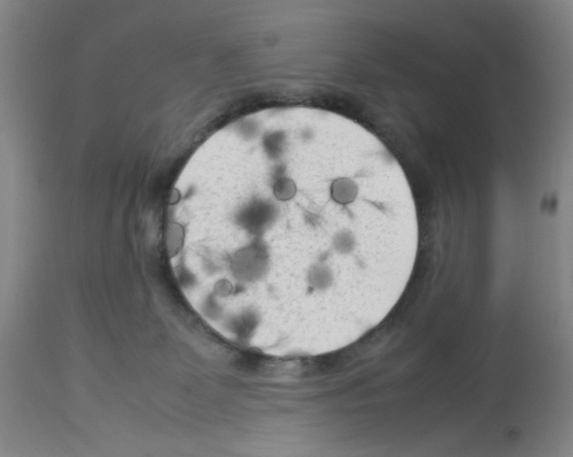 X0000112730131200910011206