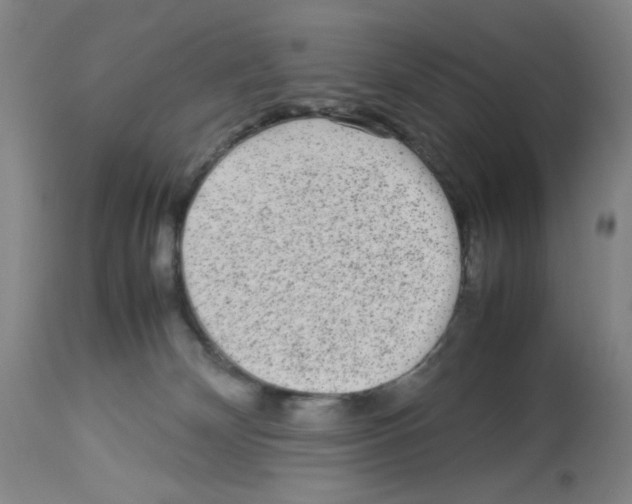 X0000112730132200910011206