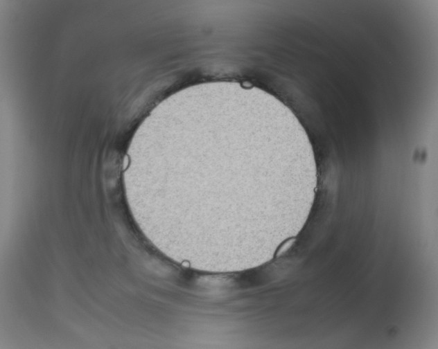 X0000112730133200910011206