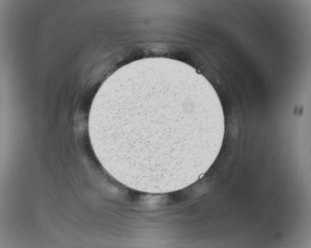 X0000112730135200910011206