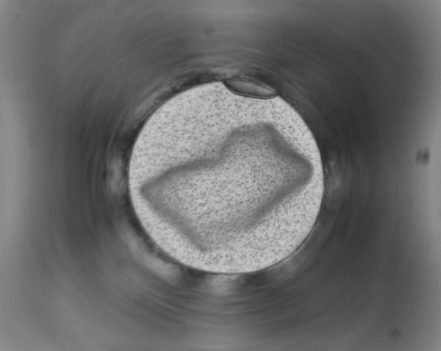 X0000112730136200910011206