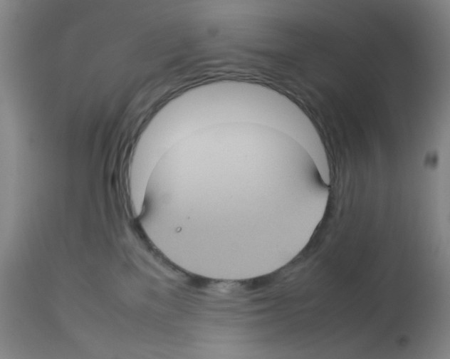 X0000112730137200910011206