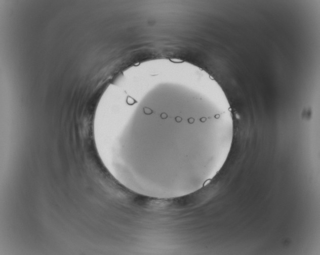 X0000112730139200910011206