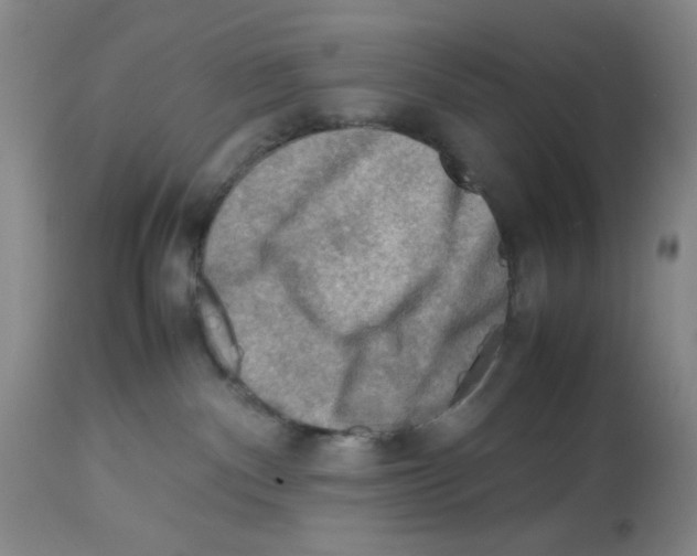X0000112730140200910011206