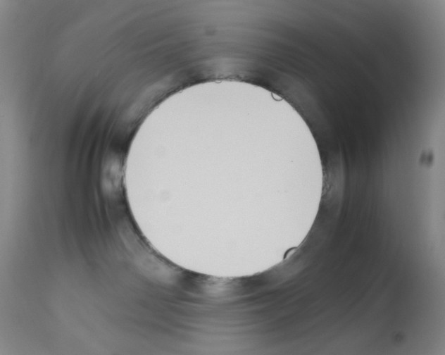 X0000112730142200910011206