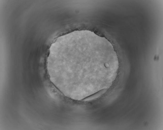 X0000112730144200910011206