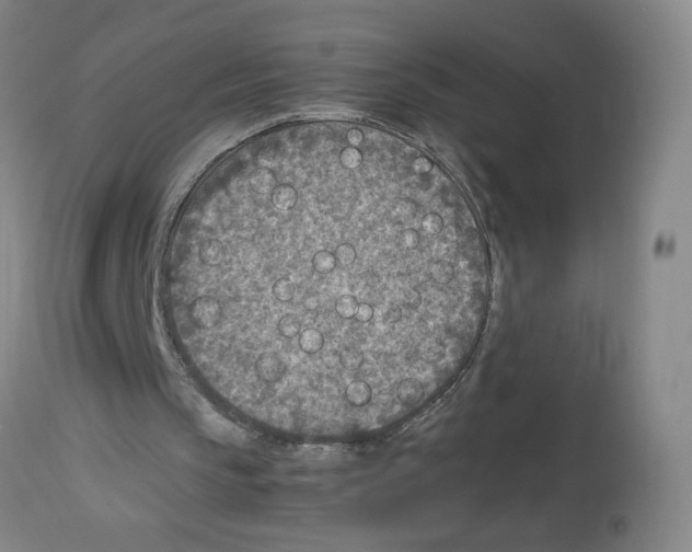 X0000112730145200910011205
