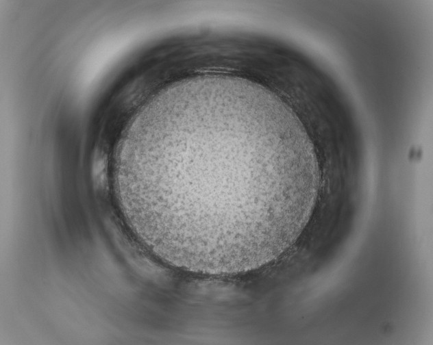 X0000112730146200910011205