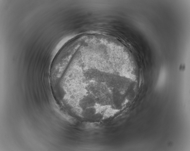 X0000112730147200910011205