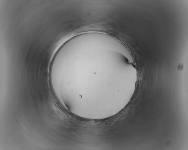 X0000112730148200910011205