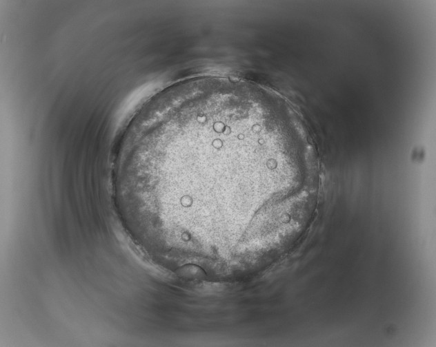 X0000112730149200910011205