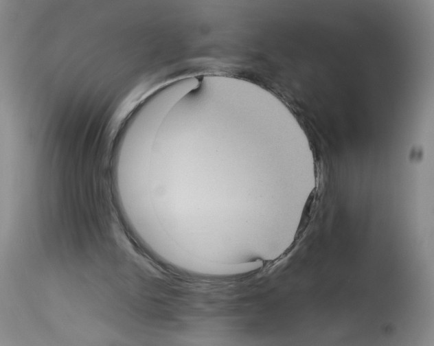 X0000112730150200910011205
