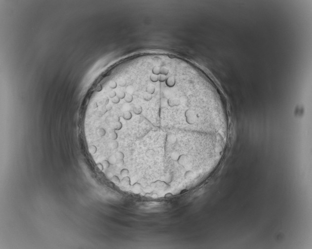 X0000112730151200910011205