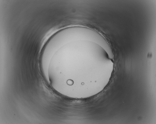X0000112730152200910011205