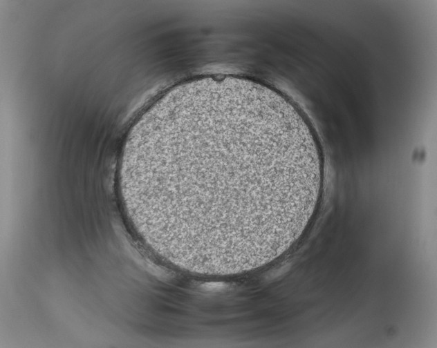 X0000112730153200910011205