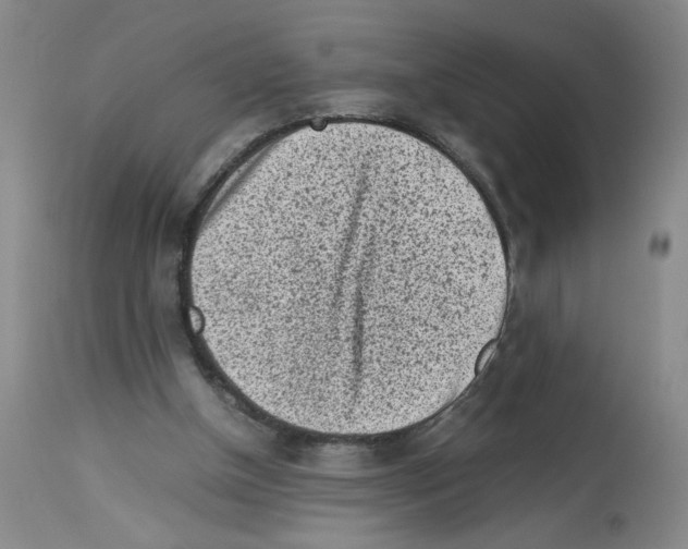 X0000112730154200910011205