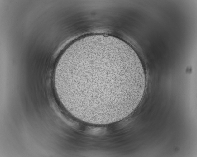 X0000112730155200910011205
