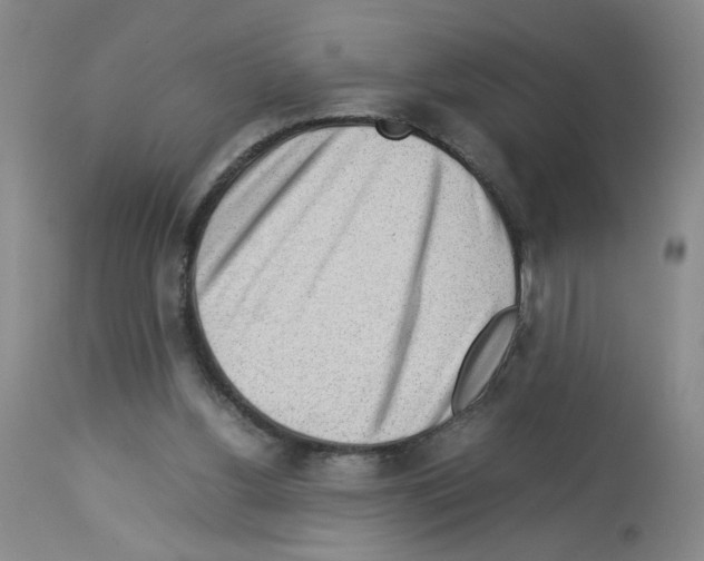 X0000112730156200910011205