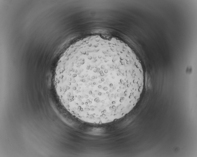 X0000112730157200910011205