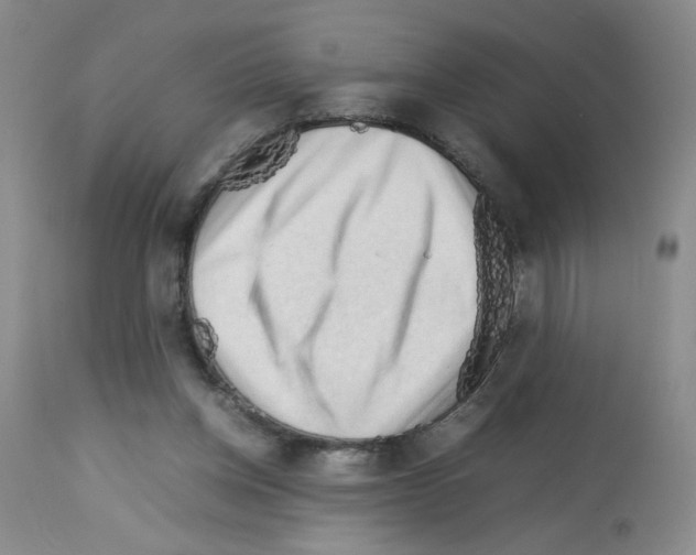 X0000112730158200910011205