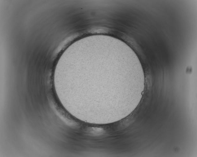 X0000112730159200910011205