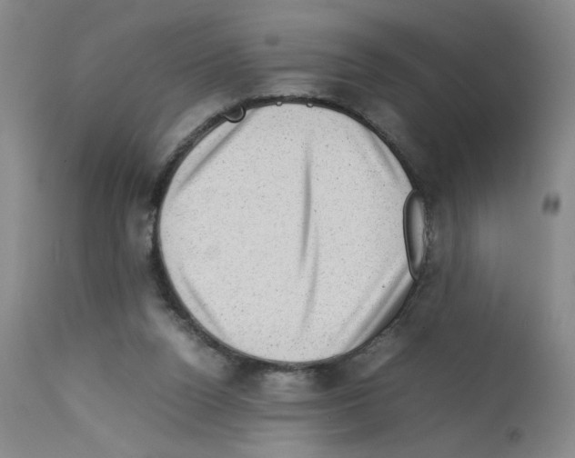 X0000112730160200910011205
