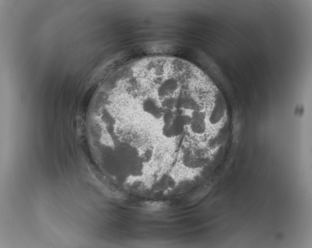 X0000112730161200910011205