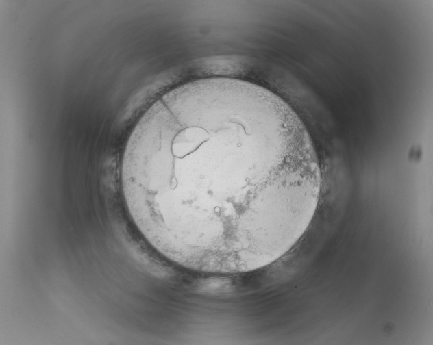 X0000112730162200910011205