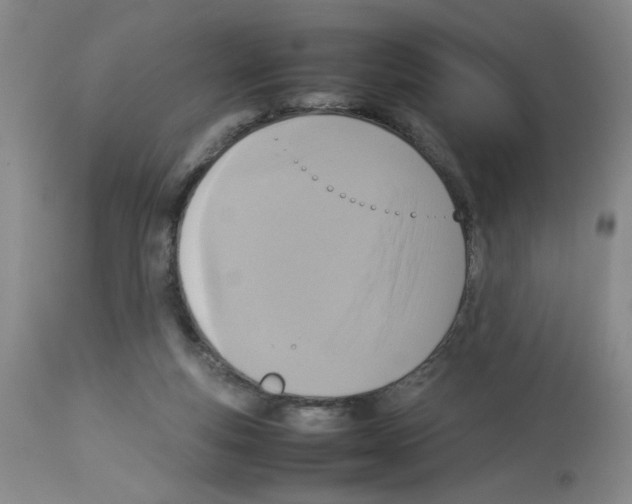 X0000112730163200910011205