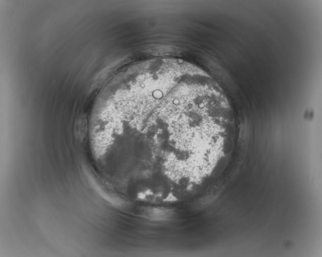 X0000112730165200910011205