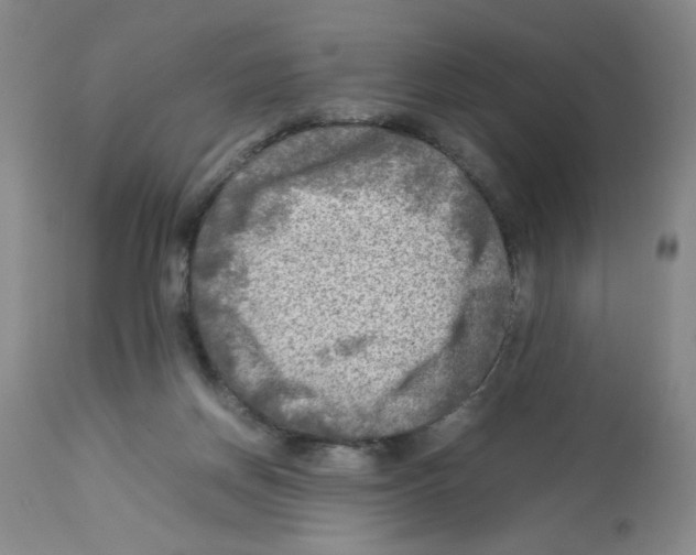 X0000112730166200910011205