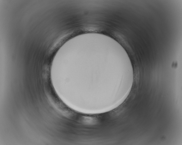 X0000112730167200910011205