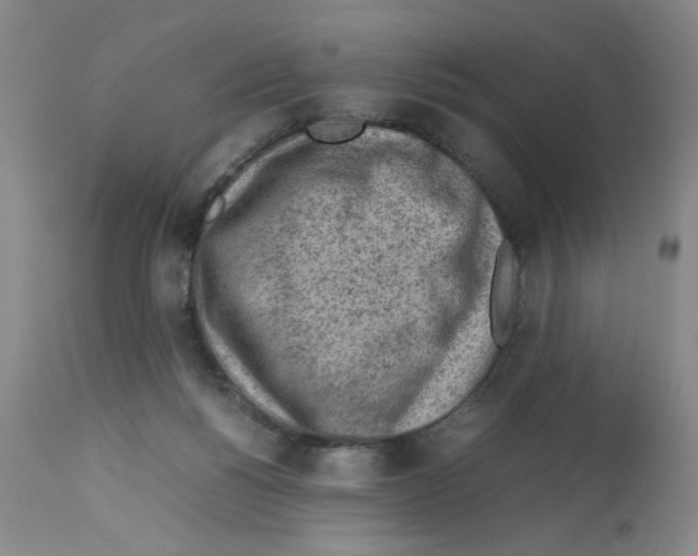 X0000112730168200910011205
