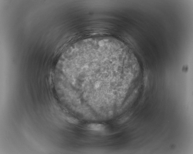 X0000112730169200910011205