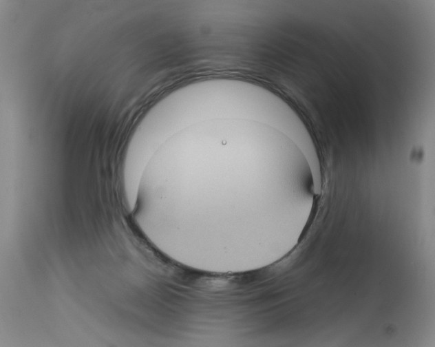 X0000112730170200910011205