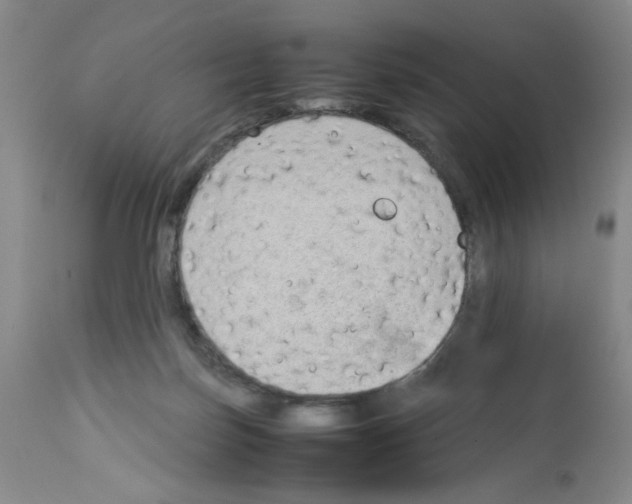 X0000112730171200910011205