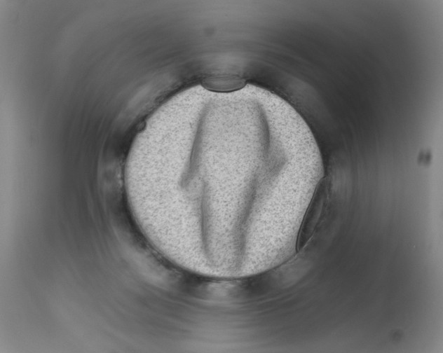 X0000112730172200910011205
