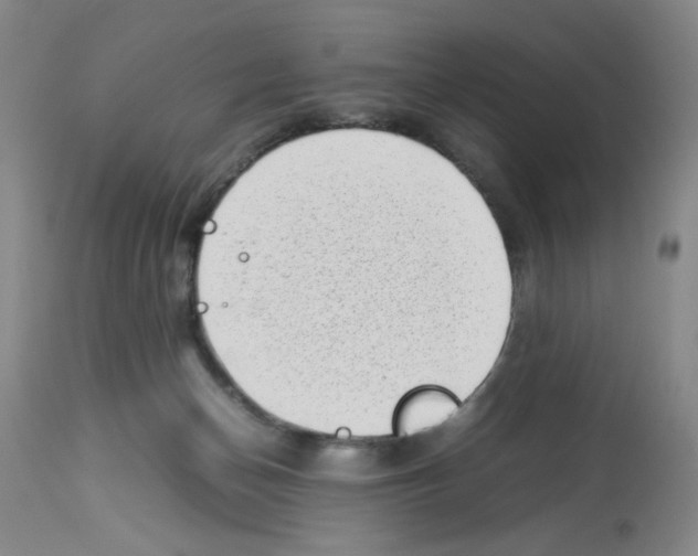 X0000112730174200910011205