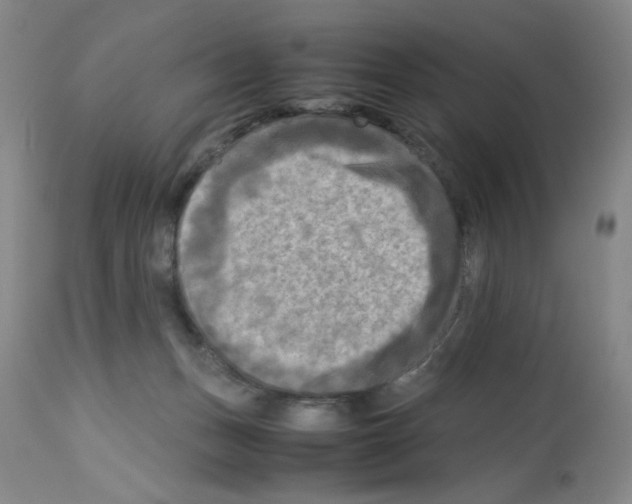 X0000112730175200910011205