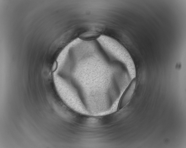 X0000112730176200910011205