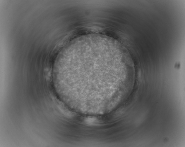 X0000112730177200910011205