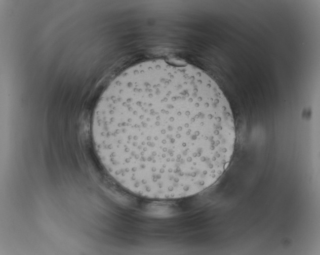 X0000112730179200910011206