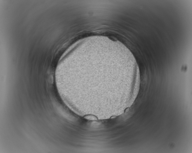 X0000112730180200910011206